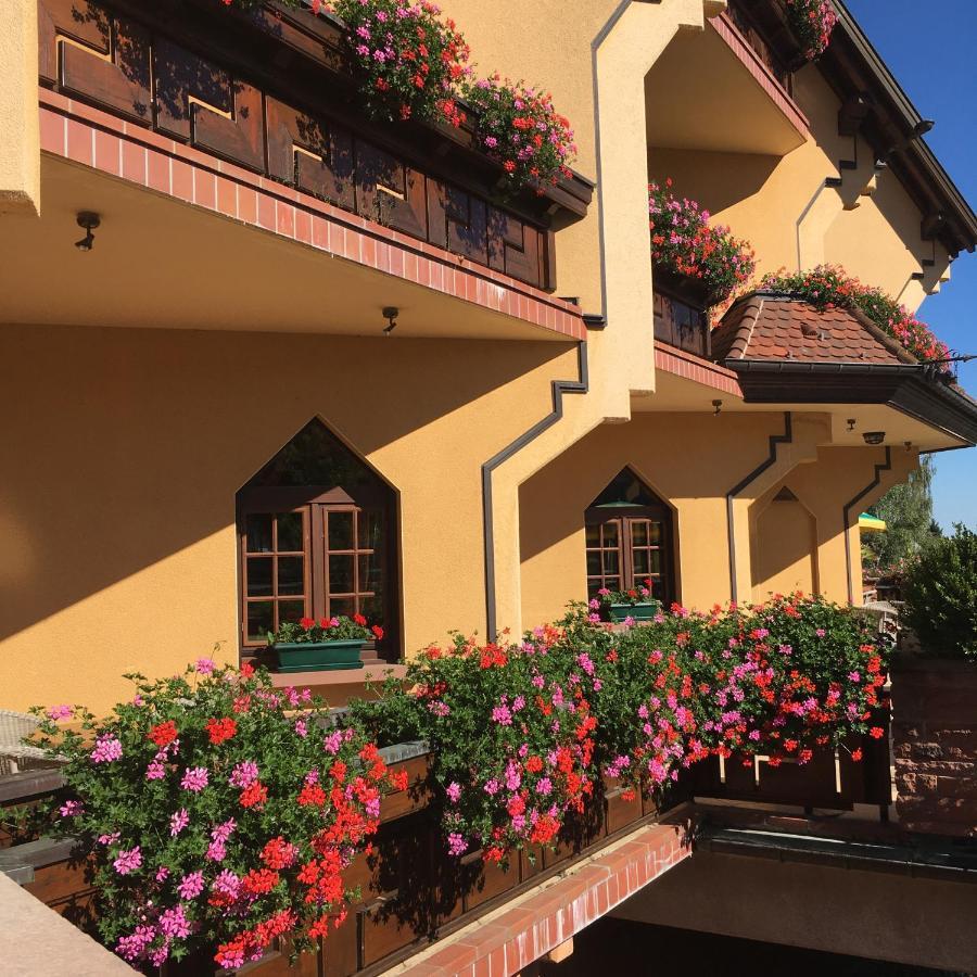 Hotel Le Mandelberg Mittelwihr Εξωτερικό φωτογραφία